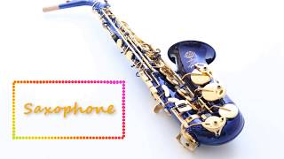 Saxophone ringtone  Instrumental ringtones free download [upl. by Cassius]