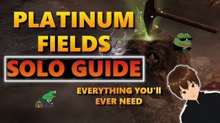 LOST ARK PLATINUM FIELDS SOLO GUIDE [upl. by Gaw277]