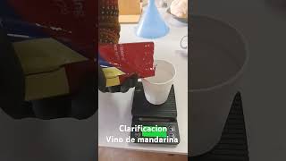 Proceso de clarificacion vino de mandarina [upl. by Ellan]