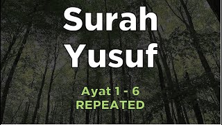 Surah Yusuf ayat 16 Untuk Hafalan  Murottal Repeated [upl. by Frey33]