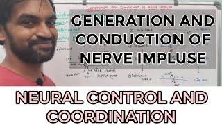 Generation and conduction of nerve impulse [upl. by Aaron644]