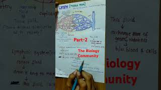 LYMPHTISSUE FLUID PART2 neet2025class11neetbiologyshortsytcbsebiobodyfluidsampcirculation [upl. by Dorcia]