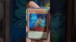 Kuriboh Hunting Daily YGO Pack Opening [upl. by Dleifyar443]