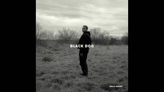 Black Dog  Arlo Parks KaraokeInstrumental [upl. by Ziguard]