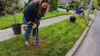 Planting 3 New Dogwood Trees 🌳 Why Fall is The Best Time For These Stunning Trees 🍂🙌 [upl. by Fontes]