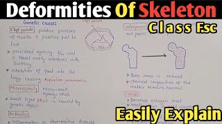 Deformities Of Skeleton  Arthritis  Osteoporosis  Herniation  Class 12 [upl. by Sabec]