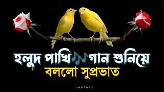 বললো সুপ্রভাত  sad love shayari 2024  premer sondo  good night shayari [upl. by Babita]