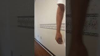 Wallpaper border removal charlestonsc wallpaper satisfying homeimprovement diy [upl. by Gibbie]