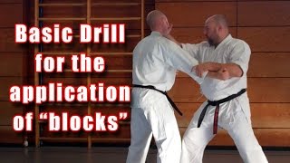 Practical Kata Bunkai basic drill for the application of “blocks” [upl. by Sproul357]