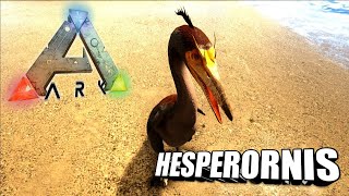 Taming A Hesperornis  Ark Survival Evolved  The Island [upl. by Anivek462]