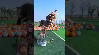 Rescue the trapped dachshund on the football field Douyin Assistant Popular Coproduction Creative [upl. by Halliday177]