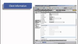 Tax Import Client Setup [upl. by Durrej]