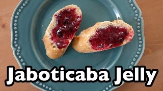 Tasty Tropical Treats Jaboticaba aka Brazilian Tree Grape Jelly [upl. by Reginnej428]