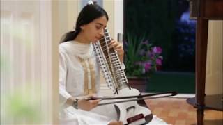 Raag Desh Dilruba [upl. by Zilvia77]