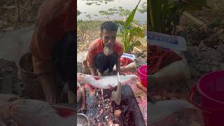 Wonderful Giant Pangas Fish cutting skills🐟 in Local fish Market Part 590 shorts [upl. by Ahsaf]