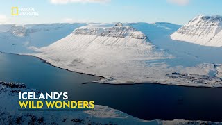 Iceland’s Hidden Beauty  Europe From Above  हिंदी  Full Episode  S3  E6  Nat Geo [upl. by Hughie]