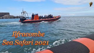 Ilfracombe Sea Safari [upl. by Giordano]