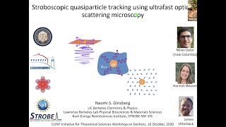 Stroboscopic quasiparticle tracking using ultrafast optical scattering microscopy  Naomi Ginsberg [upl. by Naro]