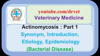 Actinomycosis Part 1 introduction etiology epidemiology [upl. by Alia]