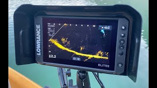 Lowrance Active Target Te contamos dos características que desconocías [upl. by Ainezey]