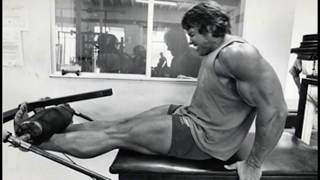 Arnold Leg Workout pics [upl. by Leryt374]