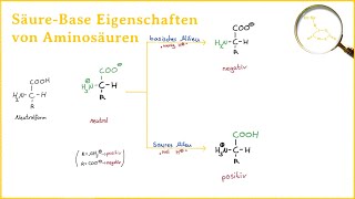 Säure Base Eigenschaften von Aminosäuren [upl. by Udale]