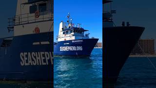 Spotted this Sea Shepherd Vessel marine life ship protection travel trip video shorts [upl. by Adnerb435]