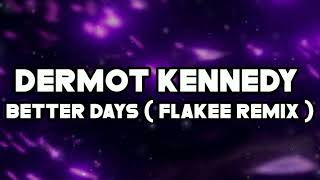 Dermot Kennedy  Better Days Flakee Remix [upl. by Anitsrhc]