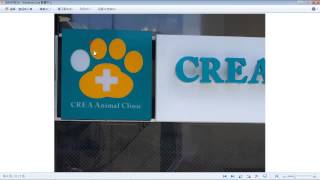 Crea Animal Clinic [upl. by Aneeroc]