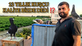 GÖKHANIN ADANA GUVERCİNLERİ KALİTELİ 13 YILLIK KUŞCU [upl. by Cochrane]