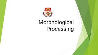 Morphological Processing [upl. by Airrotal]