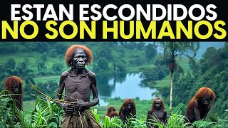 Descubrimiento ESPELUZNANTE En El Congo Que ATERRORIZARON Al Mundo [upl. by Euqenimod]