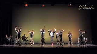 ADULTOS FLAMENCO INTERMEDIO 2 ALEGRIAS [upl. by Sochor]