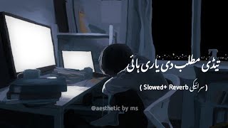 Tedi Matlab Di Yari Haee  Saraiki Sad Song  Saraiki Slowed and Reverb [upl. by Notned]