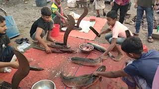 Amazing Grass Carp Fish Cutting Skills fishcutting [upl. by Slemmer615]