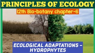 12th biobotany chapter6 Principles Of Ecology ECOLOGICAL ADAPTATIONS HYDROPHYTES 12th SCERT [upl. by Condon]