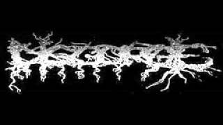 DISGORGE Mex  Disgorging Foetus Regurgitate cover [upl. by Leuqram]