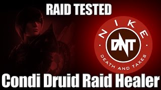 DnT Condition Damage Druid Healer Build Guide for Raids [upl. by Kathe]