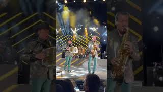 Cuestión olvidada 🐆🐆🐆🐆 lostigresdelnorte corridos live musicamexicana musicanorteña [upl. by Spooner]