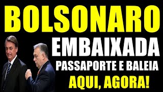 BOLSONARO SERÁ PRESO NÃO VAMOS DEIXAR [upl. by Nivram992]