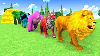 Long Slide Game With Elephant Gorilla Buffalo Hippopotamus Tiger  3d Animal Game  Funny 3d Animals [upl. by Starkey780]