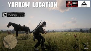 Red Dead Redemption 2 Yarrow Location arrakisstudio gaming rdr2 xbox yarrow [upl. by Ogden]