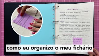 DICAS para organizar o FICHÁRIO [upl. by Eelrak]