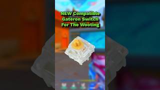 Gateron Released New Dual Rail KS20 Magnetic Switches gateron keyboard halleffect valorant [upl. by Aneloj617]