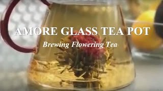 Brewing Flowering Tea Amore Glass Teapot 🌸 Teabloom [upl. by Hairam]