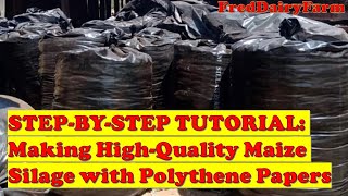 Master the Art of Perfect Maize Silage with Polythene Papers Ultimate Guide for Dairy Farmers 🌽🌾 [upl. by Ayanad150]