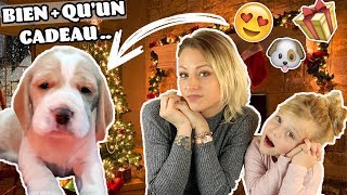 ♡• NOS CADEAUX DE NOËL  ON ADOPTE UN CHIEN  🐶 •♡ [upl. by Jankey]