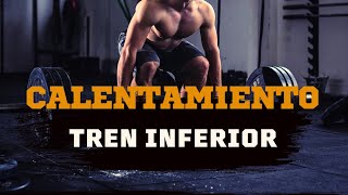 Calentamiento para entrenamiento de piernas [upl. by Netfa617]