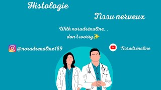 tissu nerveux histologie  1ère année medecine et medecine dentaire [upl. by Dayir772]