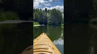 canoeing river brda poland europe nature naturelover relaxing beautifulplaces shorts 4k [upl. by Averill]